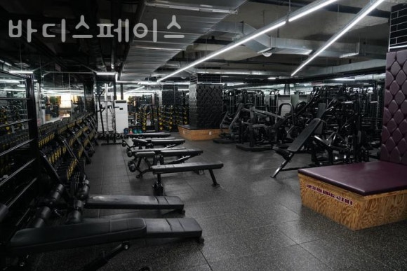 스페이스바디 이미지