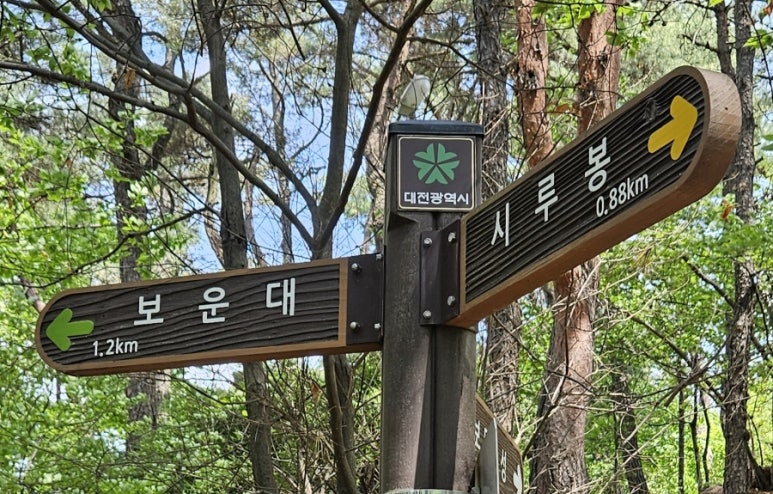 보문산 이미지