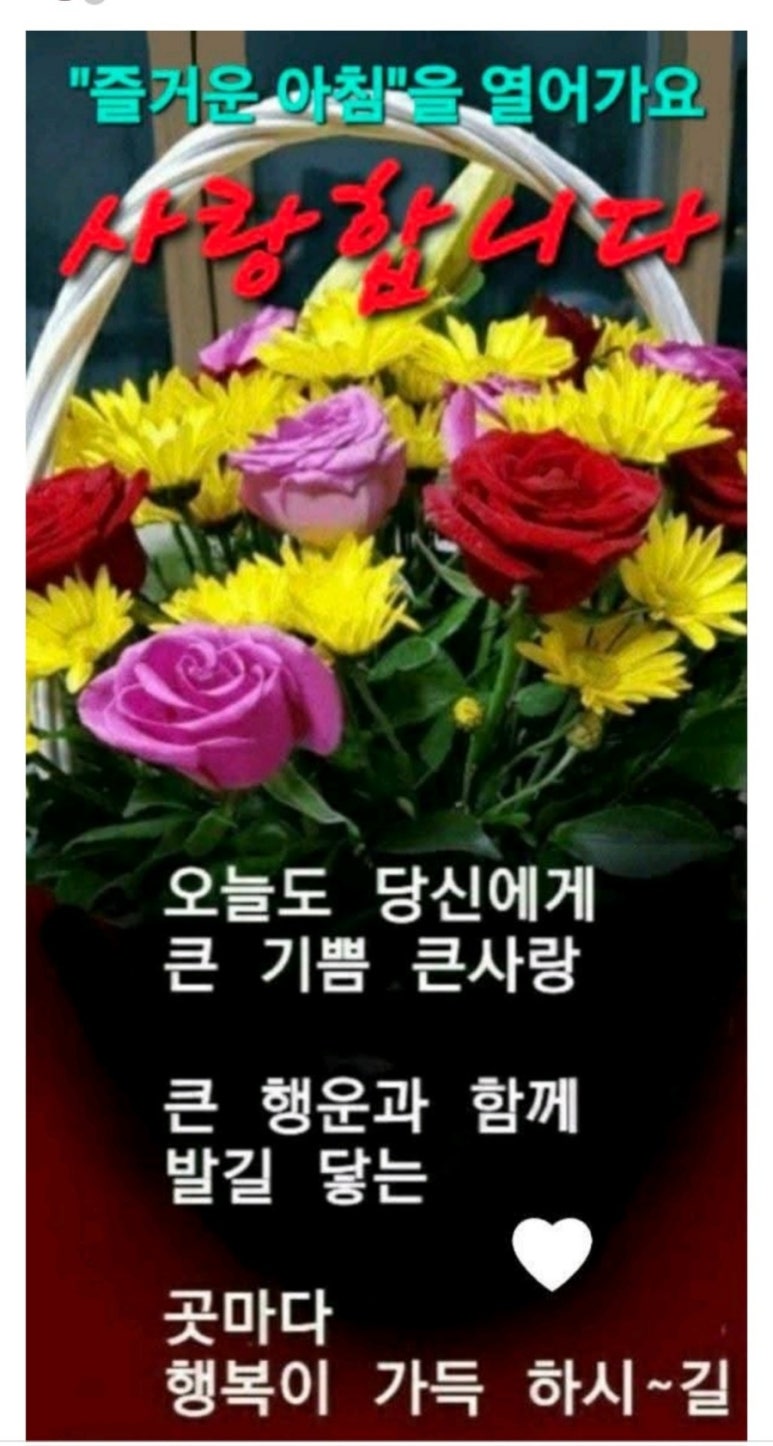 관악정육점 이미지
