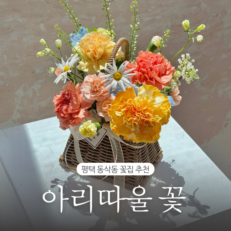 아리따울꽃 이미지