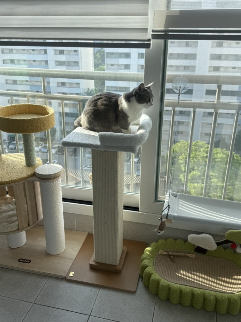(주)파우제 이미지
