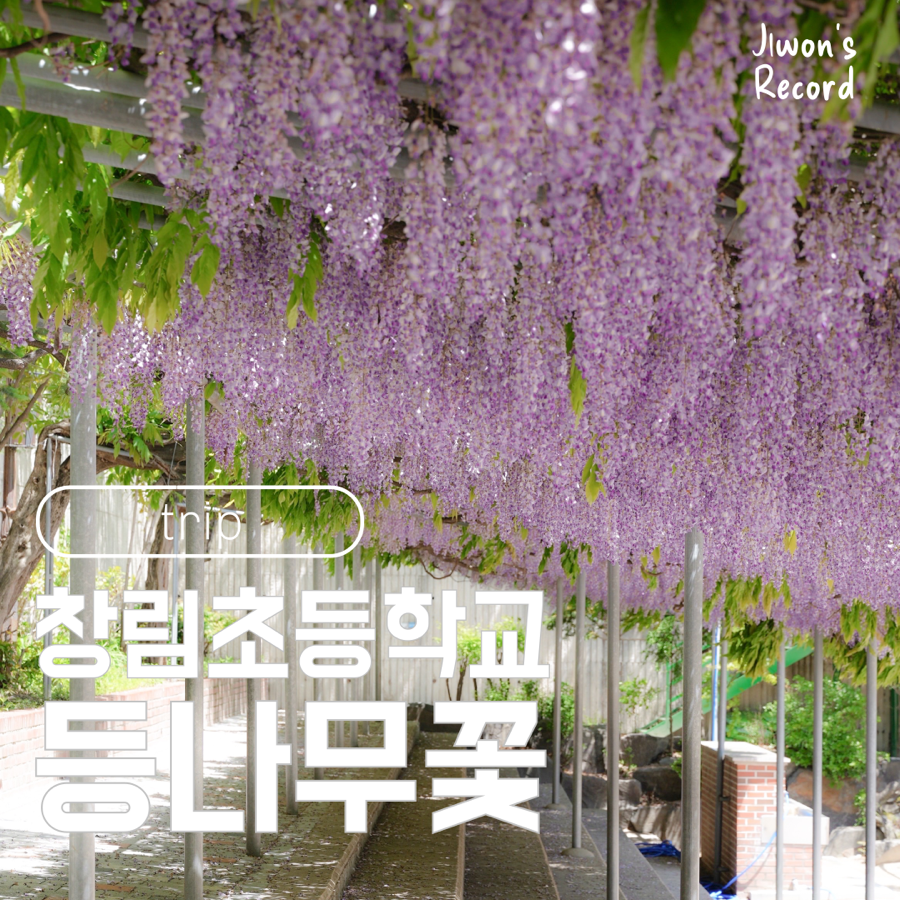 창림초등학교 이미지