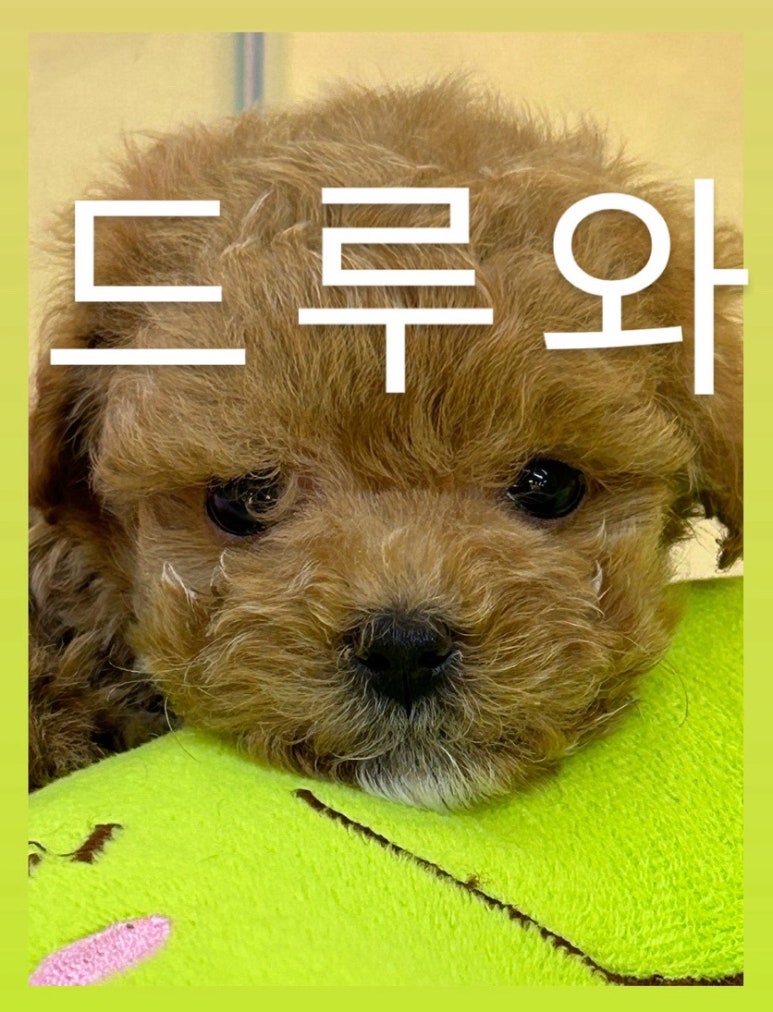 (주)이마트평촌점 이미지