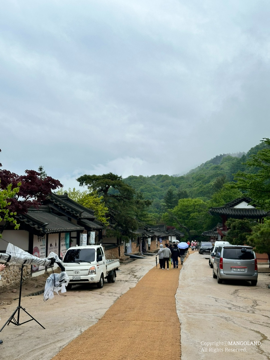려금요 이미지