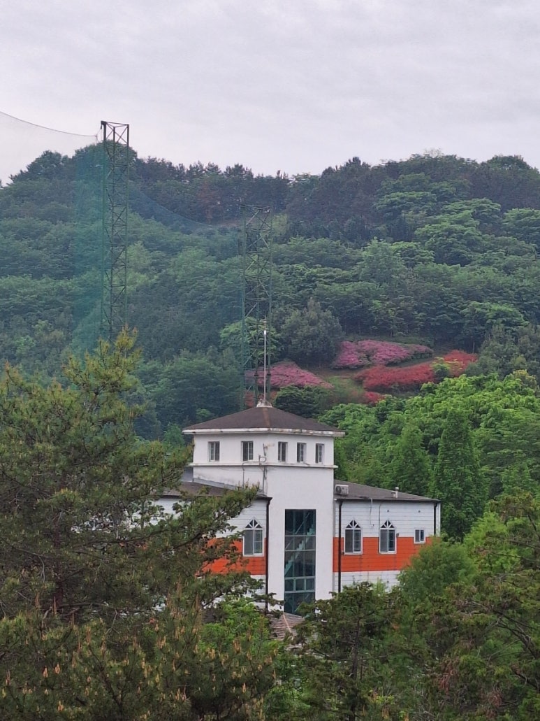 달의 뮤즈 이미지