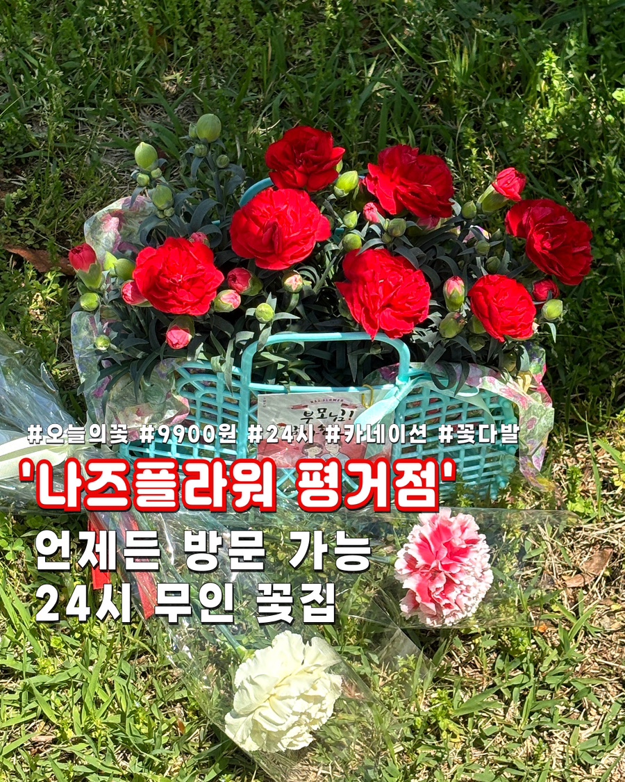 나즈플라워 이미지