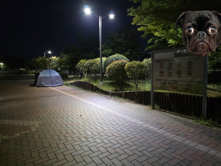 자전거사람들애 이미지