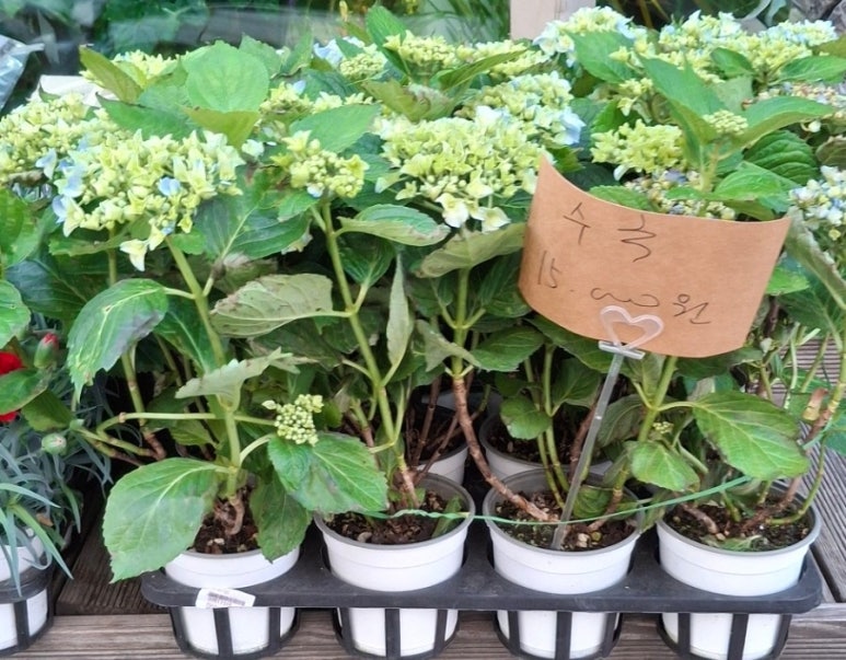 희망화원 이미지