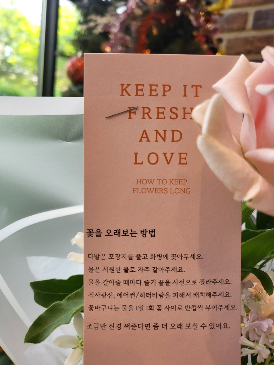 소담꽃 이미지
