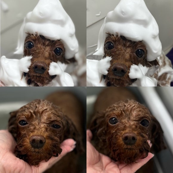 벌꿀미용실 이미지
