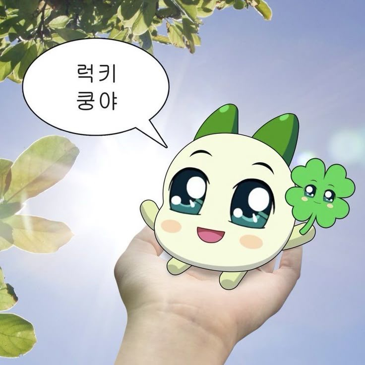 비빔놀이 이미지