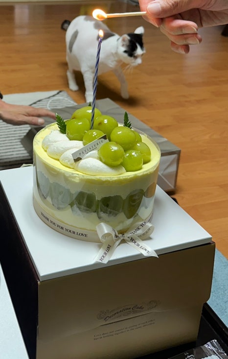 온심당 이미지