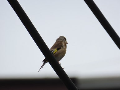 고수동굴 제2주차장 이미지