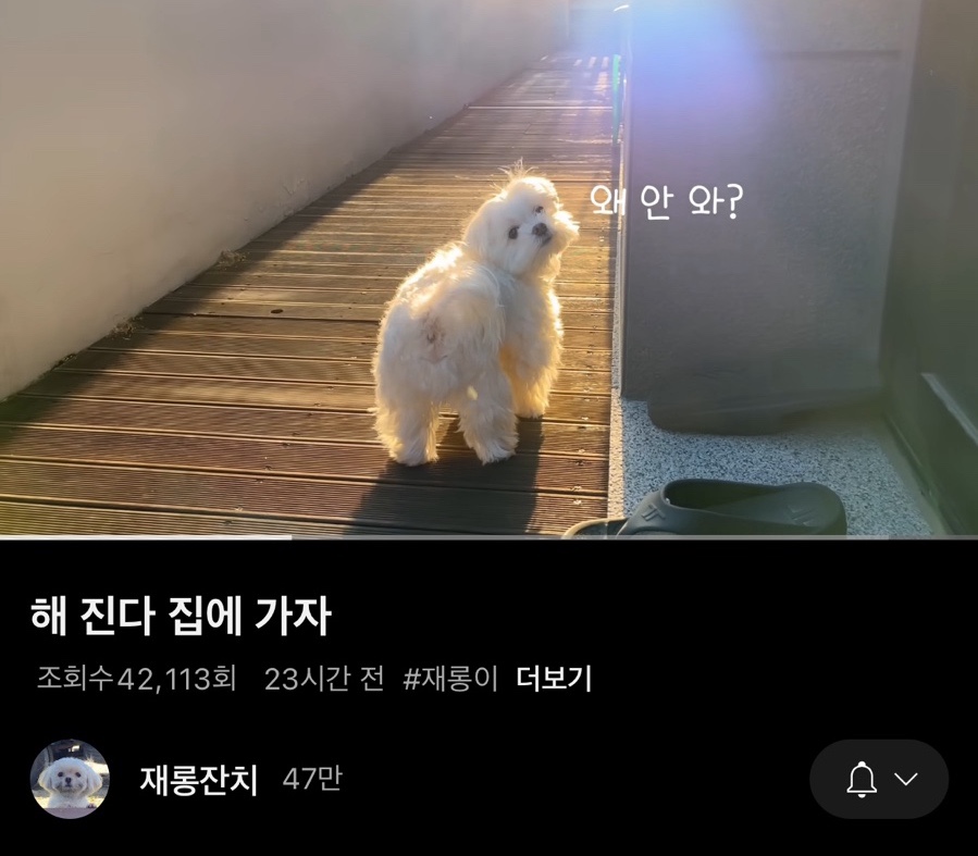 이지도예 이미지