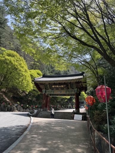 백자리식당 이미지