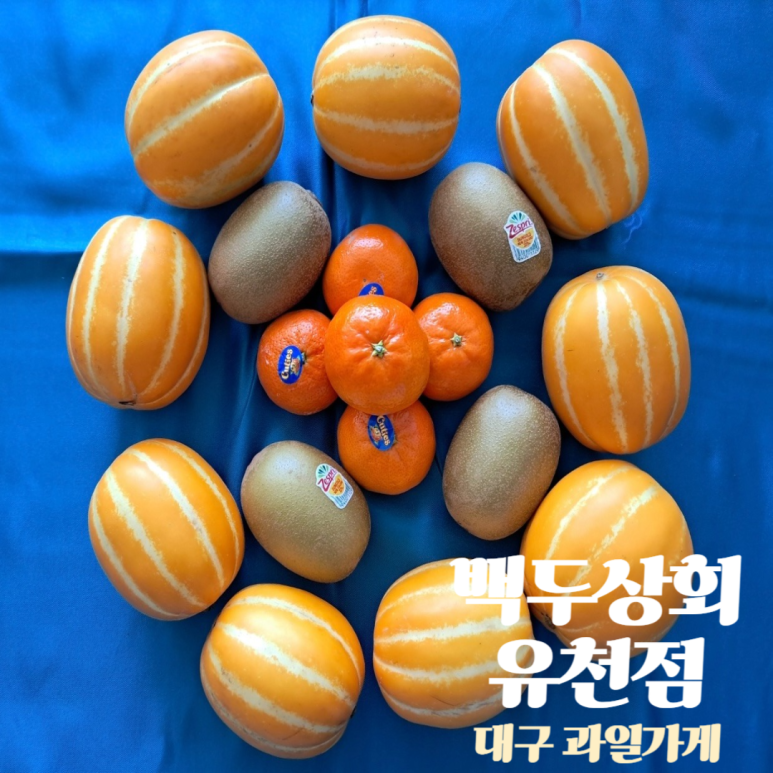 백두상회 이미지