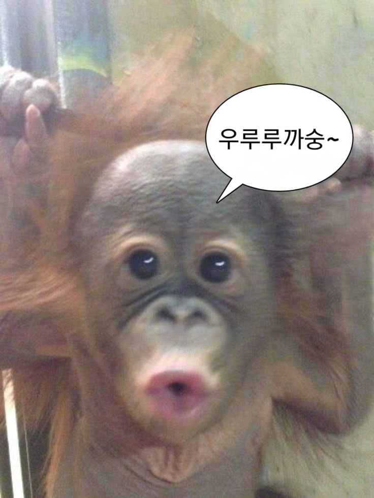 이트헤어 이미지