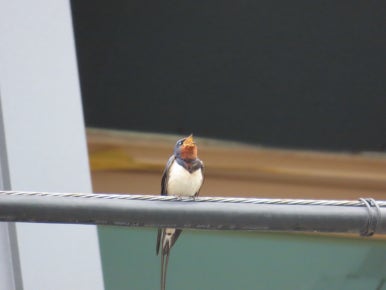 고수동굴 제2주차장 이미지