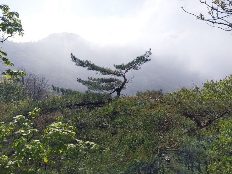 성지봉 정상 이미지