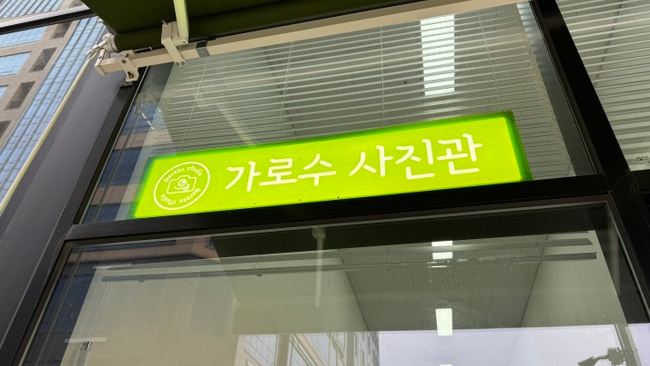 가로수사진관 이미지