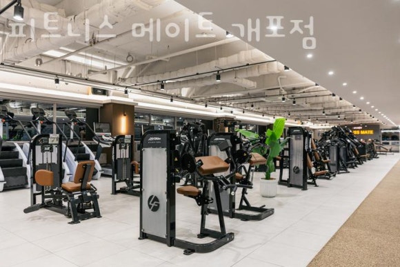 피트니스메이트 이미지