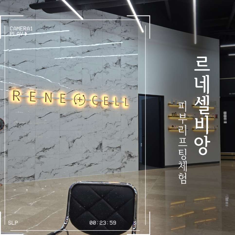 르네셀비앙 이미지