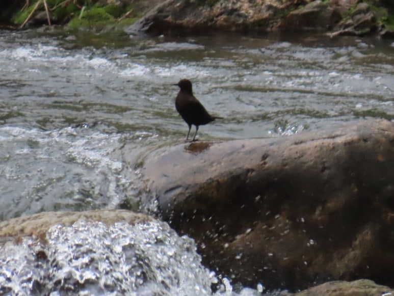 고수동굴 제2주차장 이미지