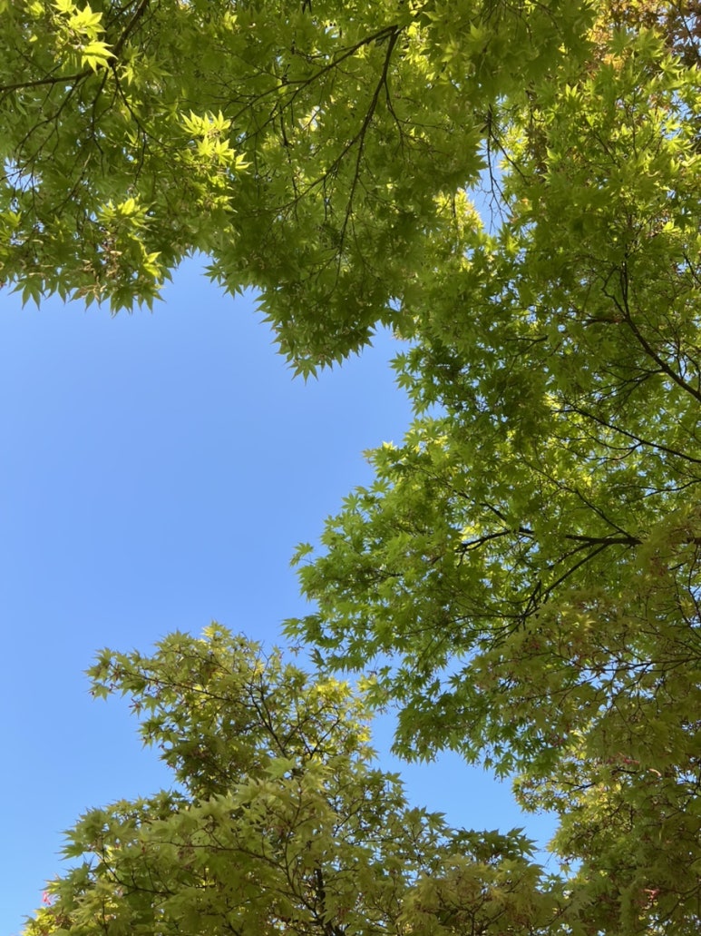 중앙게임장 이미지