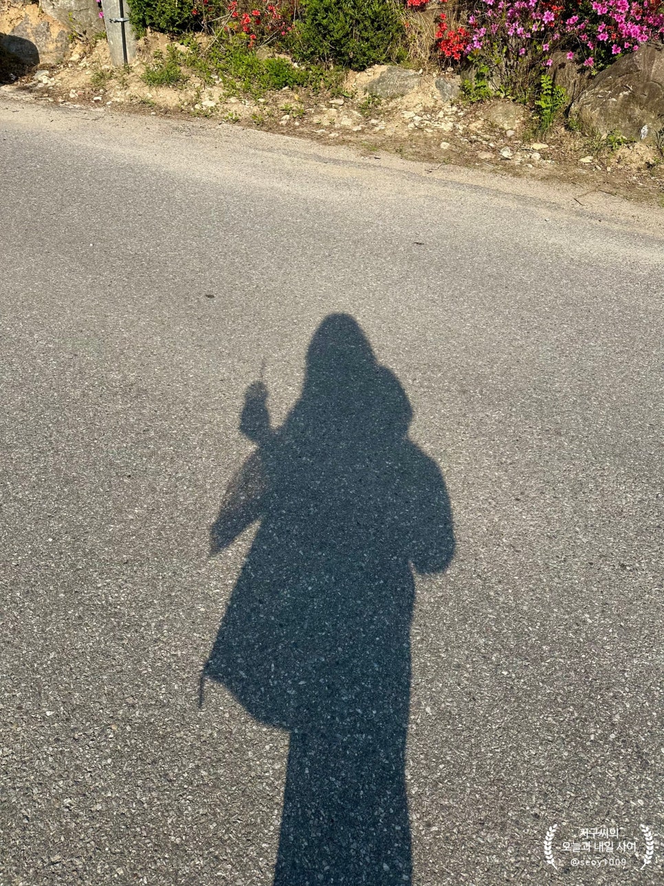 카페인중독(대성리점) 이미지