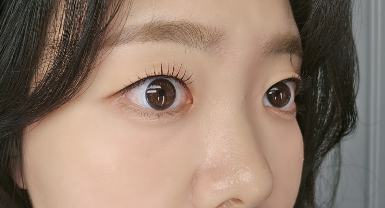 다솜투어 이미지