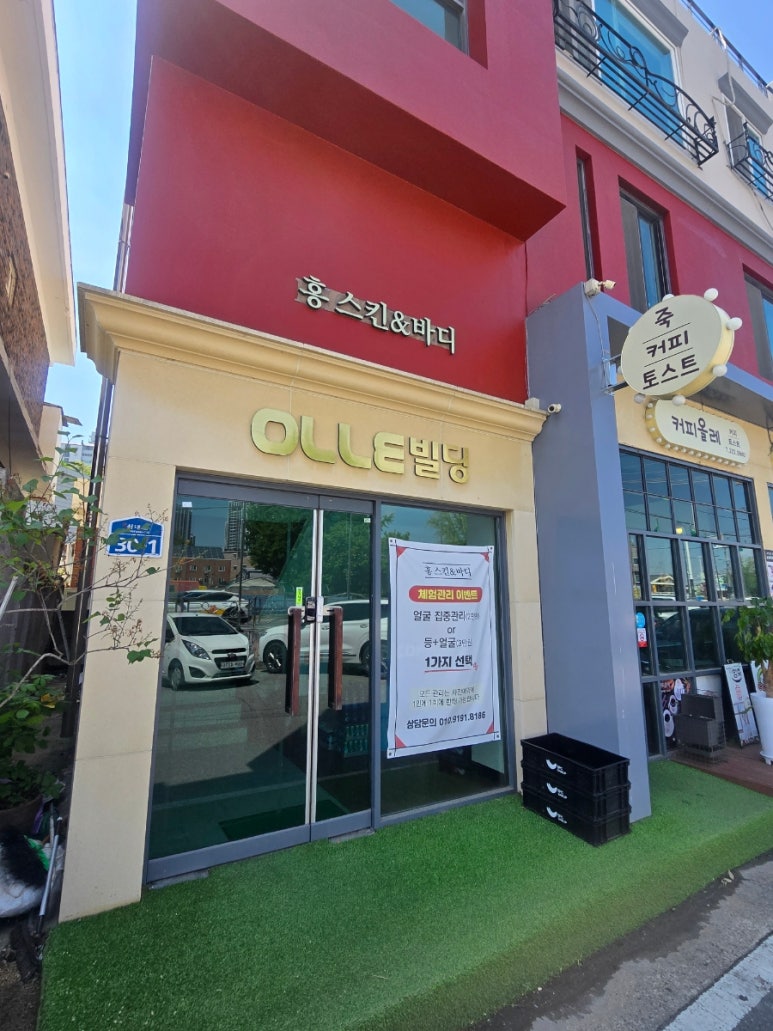 홍스킨 이미지
