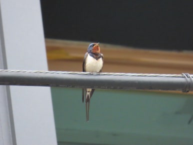 고수동굴 제2주차장 이미지