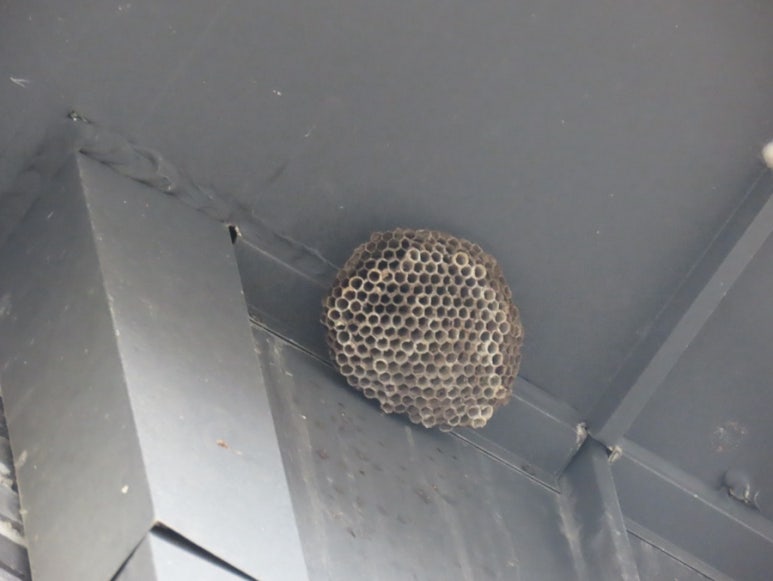 고수동굴 제2주차장 이미지