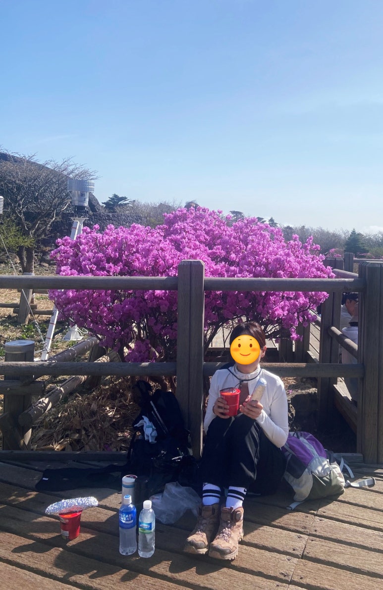 진달래김밥 이미지