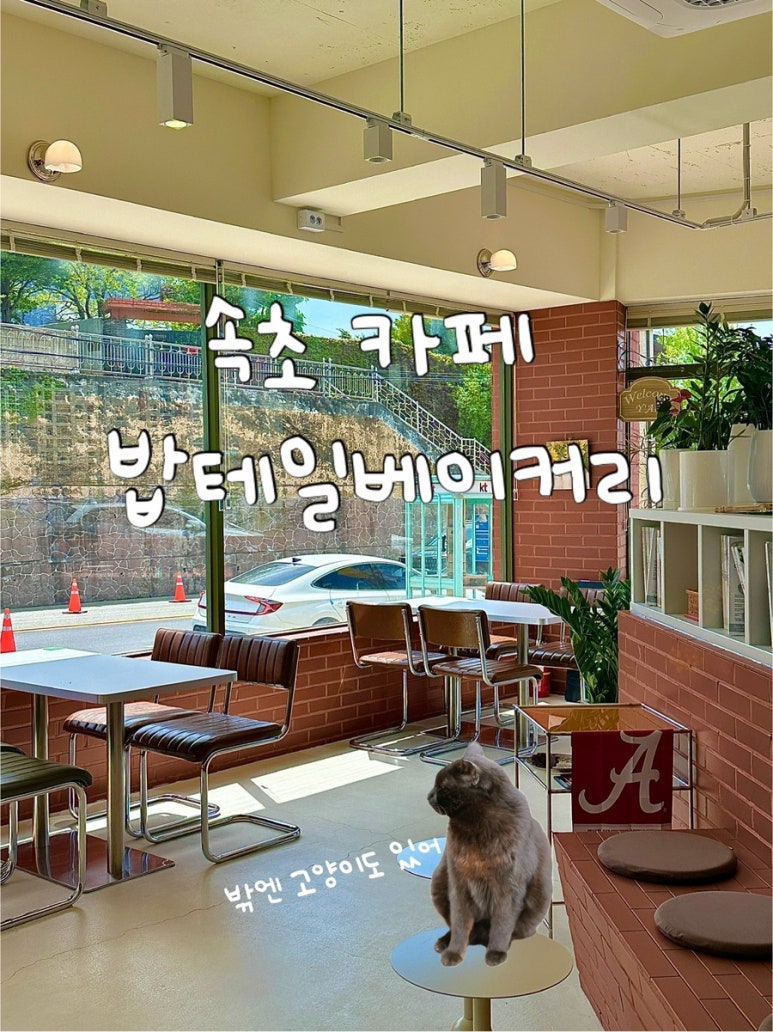 밥테일베이커리 이미지
