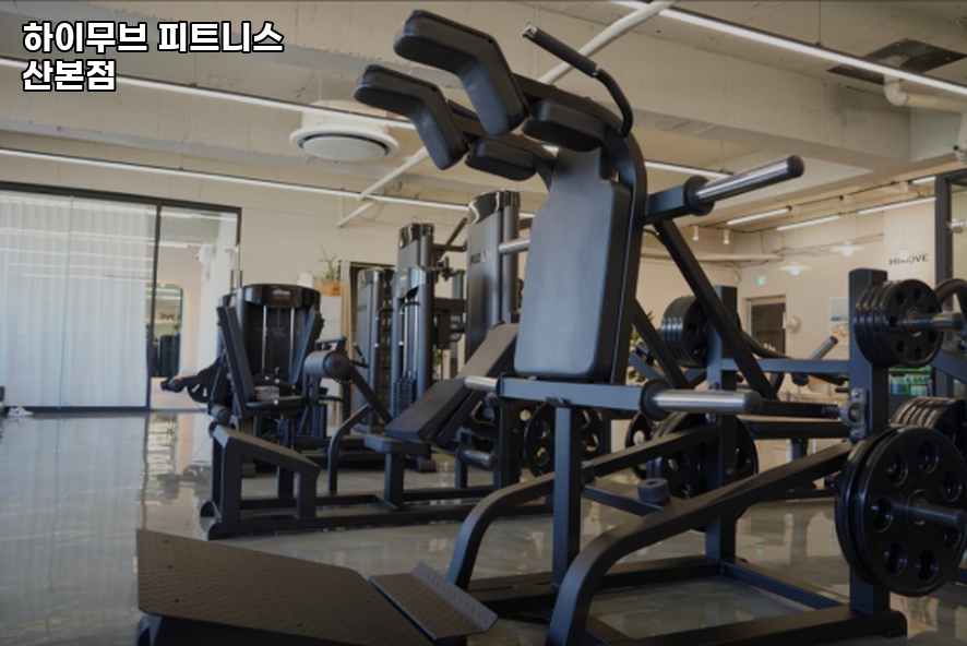 하이무브 이미지