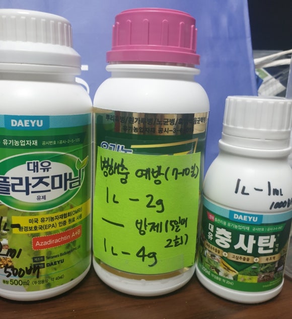 대유사 이미지