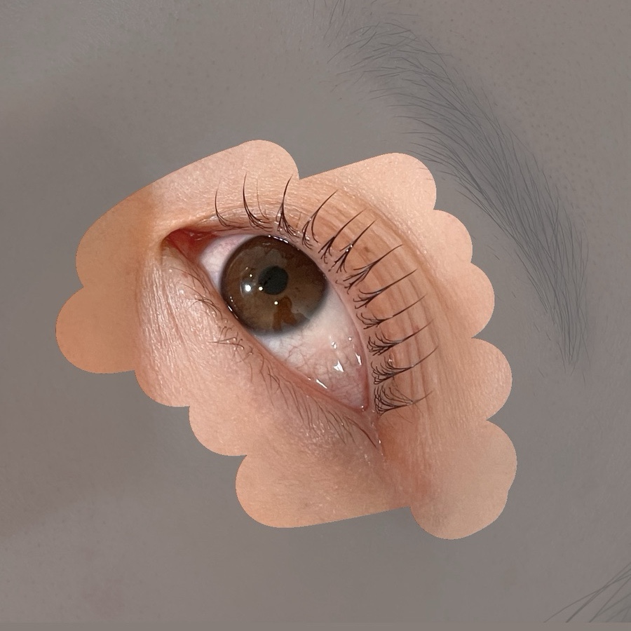 수련속눈썹 이미지