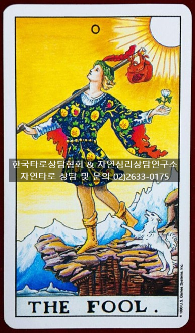 한국기질상담협회 이미지