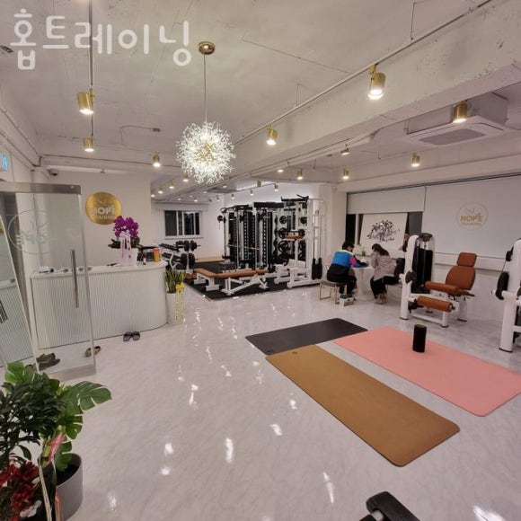 홉트레이닝 이미지