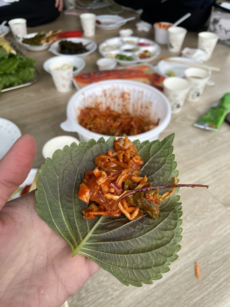 회마루평창송어 이미지