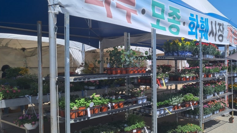 영주농협파머스마켓 이미지