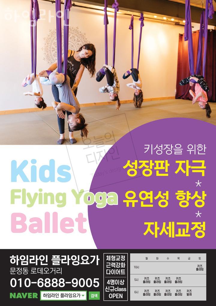 플라잉스팍스 이미지