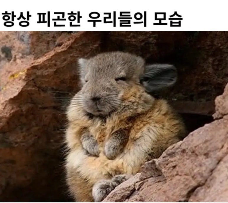 최고맛집 이미지