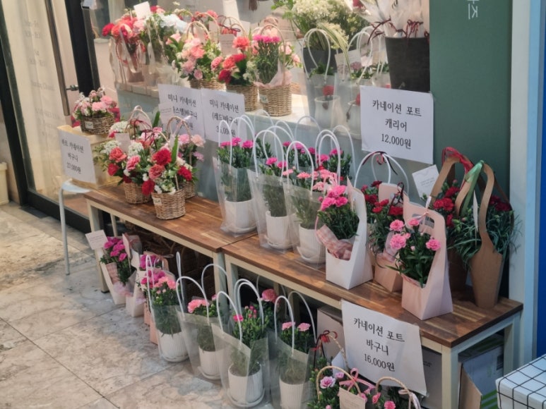 플레르누아즈 이미지