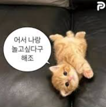 호퍼스 Hopers 이미지