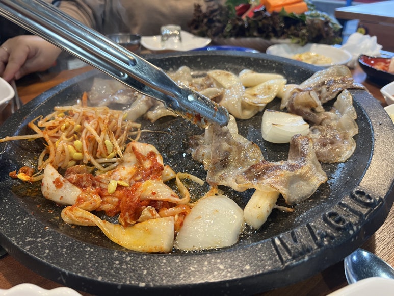 대패박사 이미지