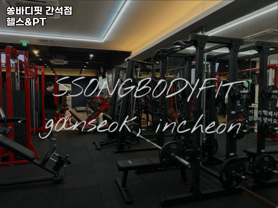 쏭바디핏간석 이미지