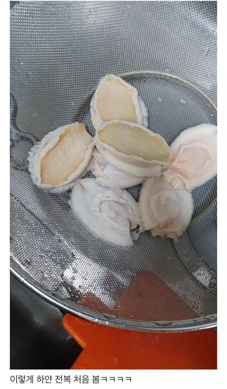 루안 이미지