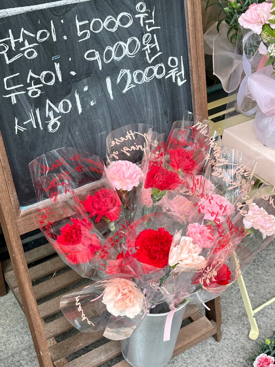 여리들 이미지